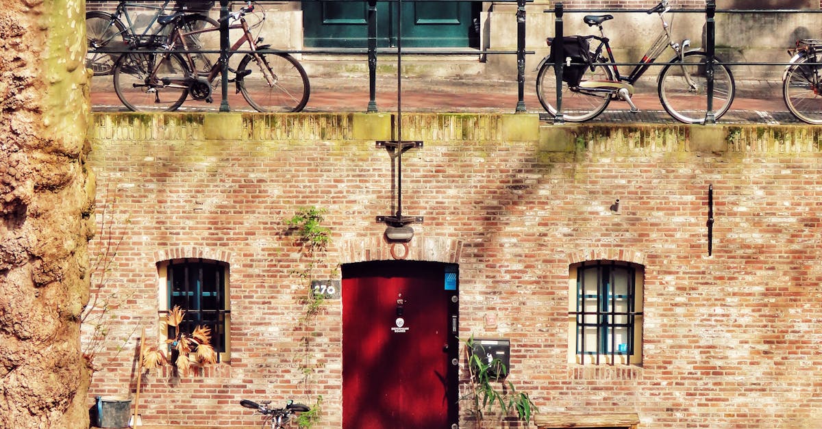 A Comparative Review of Popular Dutch Learning Websites