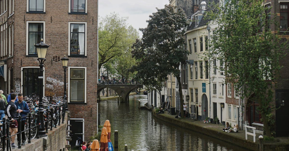 Best Dutch Language Apps for Beginners in Utrecht