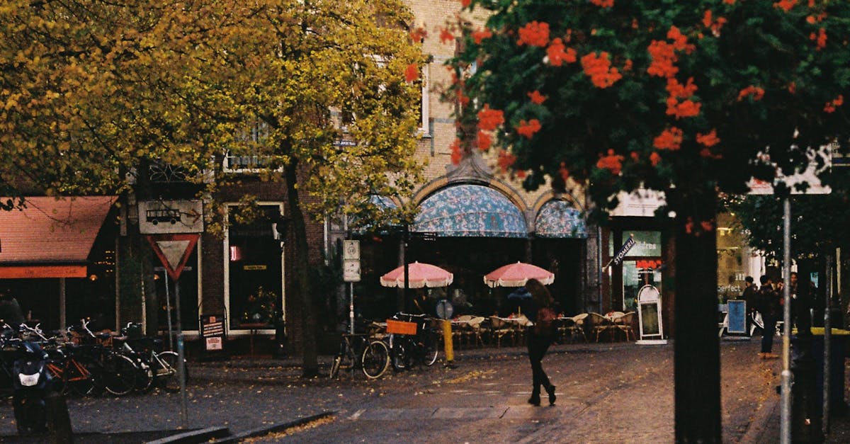Dutch Phrasebooks for Travelers and Language Learners