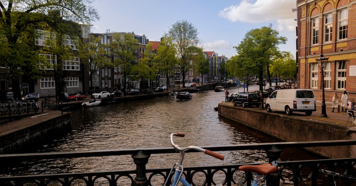 Engaging Activities in Utrecht's Dutch Group Classes