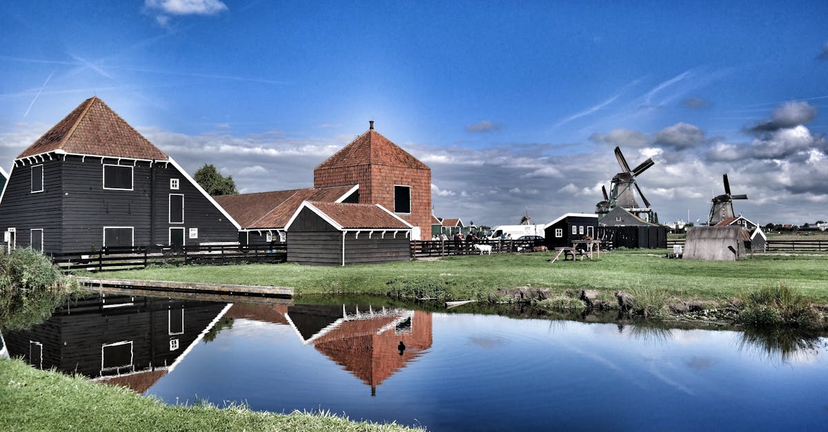Essential Dutch Language Books for Beginners in Utrecht