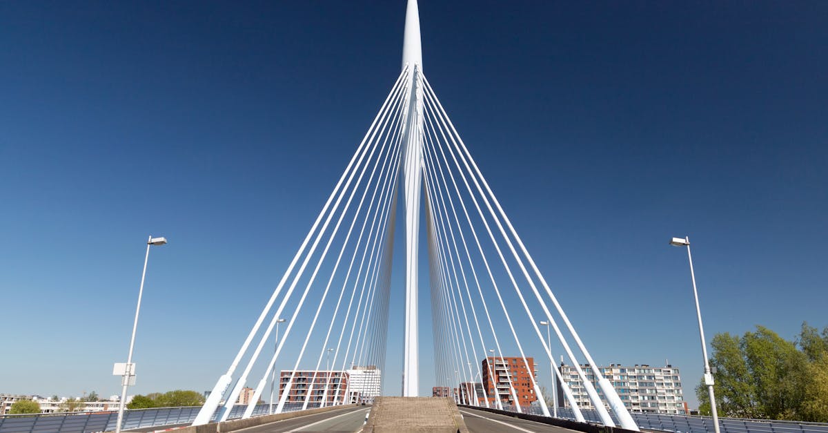 Evaluating User Experiences on Dutch Language Learning Sites