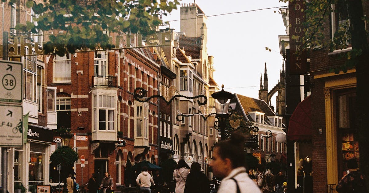 Exploring Gamification in Online Dutch Learning