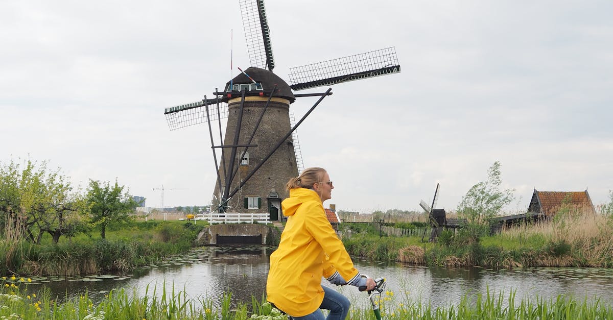 How to Balance Work and Online Dutch Learning
