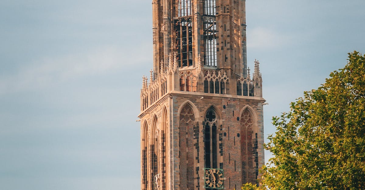 How to Choose a Private Dutch Tutor in Utrecht