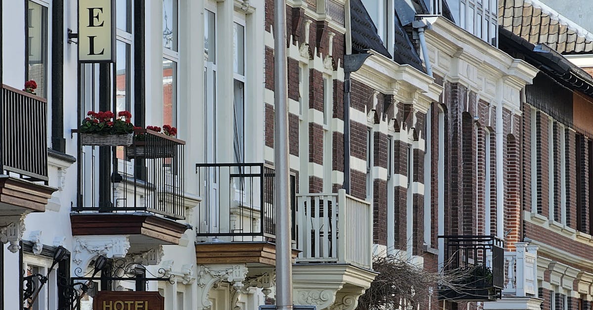 How to Choose the Right Online Platform for Dutch Lessons