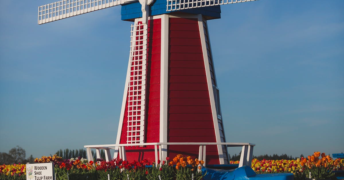 How to Evaluate Group Dutch Classes in Utrecht