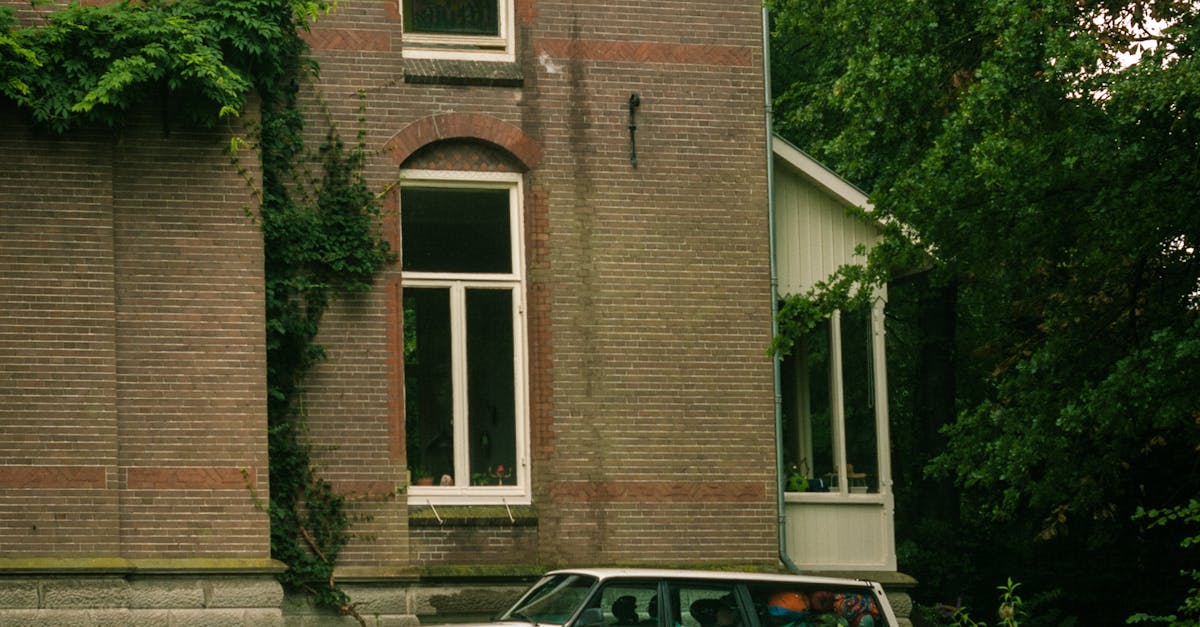 Interactive Learning Experiences on Dutch Language Websites