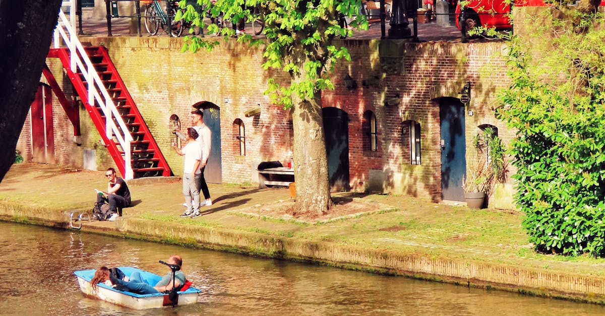 Overcoming Common Challenges in Intermediate Dutch Studies