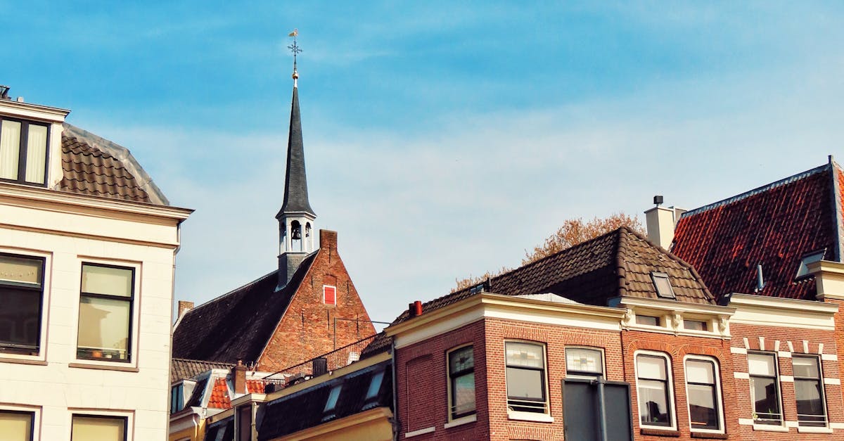 Standout Dutch Courses Available on Major Online Platforms