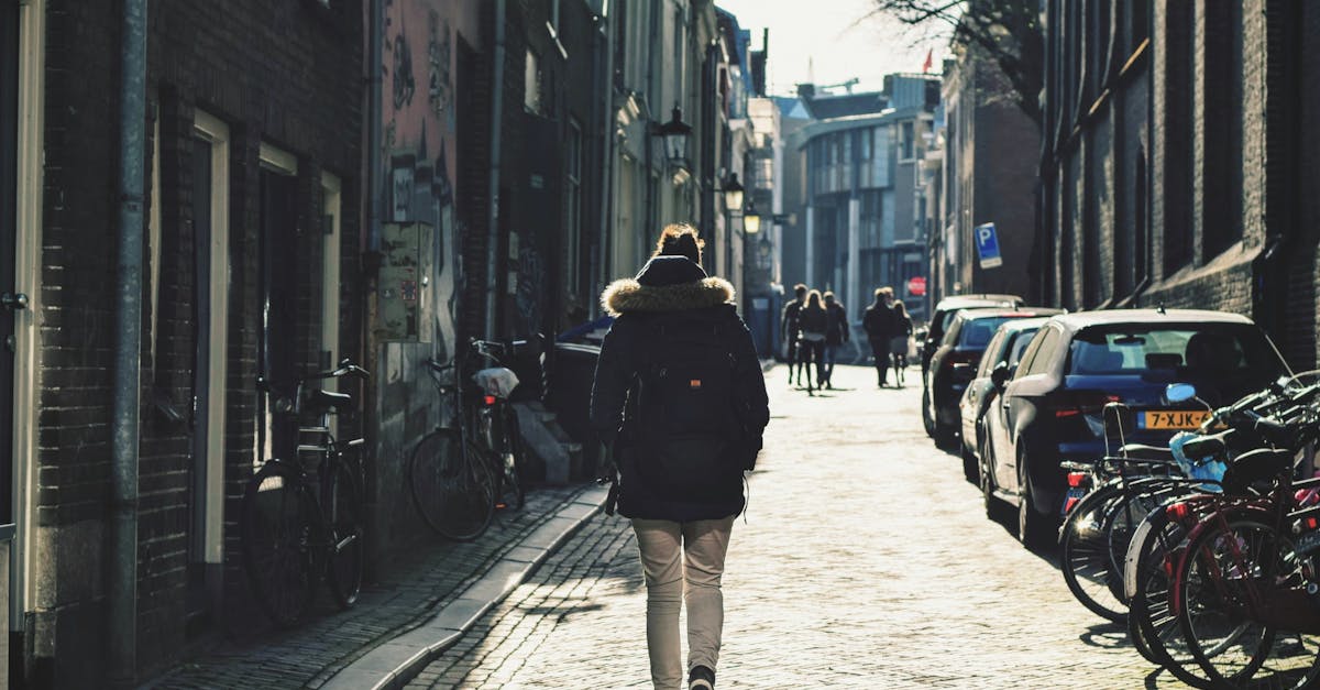 Understanding Dutch Grammar Basics for New Learners