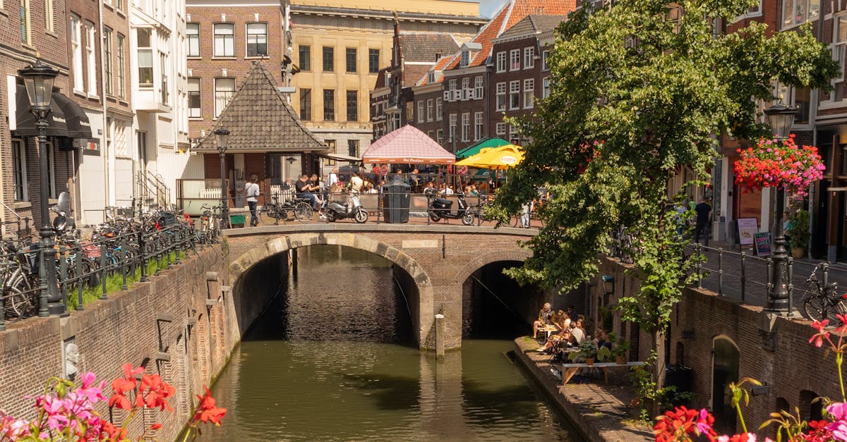 User Reviews: Most Effective Dutch Apps for Starters