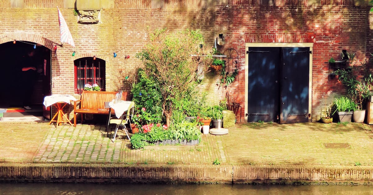 Utilizing Multimedia Resources for Enhanced Dutch Learning